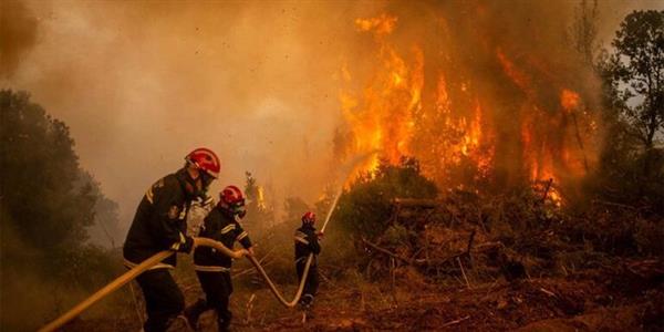 إندونيسيا تنشر 130 فردًا لإخماد حرائق الغابات في جبل لاو بمقاطعة جاوة الشرقية