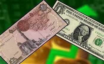   استقرار أسعار صرف الدولار مقابل الجنيه المصري في بداية التعاملات 