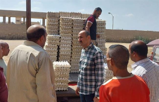 سكرتير عام مساعد بني سويف يتفقد سير العمل بمشروع الدواجن 