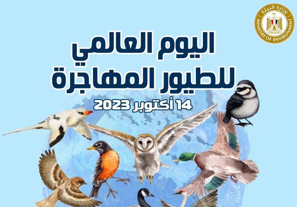 مصر تشارك العالم الاحتفال باليوم العالمي للطيور المهاجرة