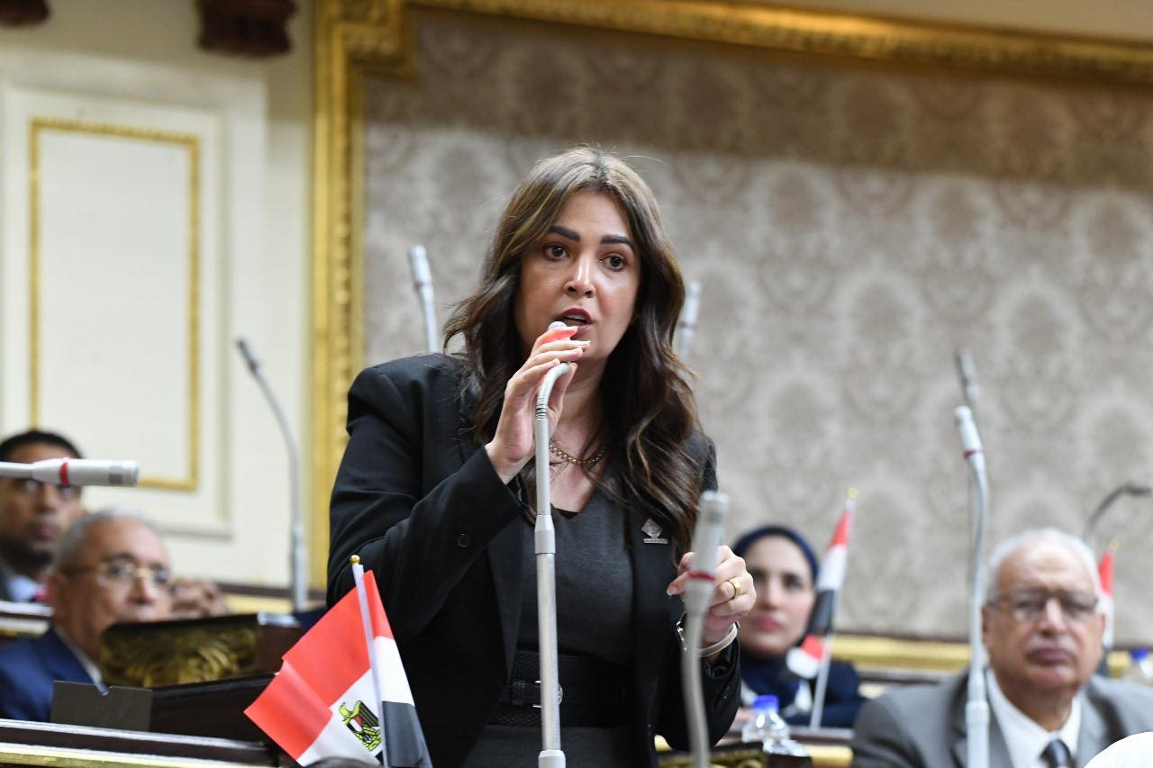 نائبة التنسيقية أميرة العادلي تقترح إعفاء أصحاب الحد الأدنى للأجور من الضرائب