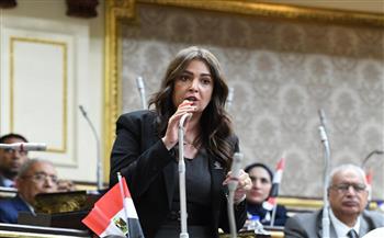   نائبة التنسيقية أميرة العادلي تقترح إعفاء أصحاب الحد الأدنى للأجور من الضرائب