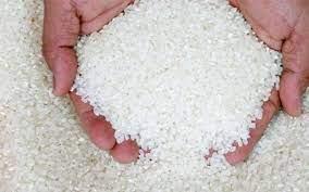 الحاصلات الزراعية: تراجع كبير في أسعار الأرز والفول والعدس