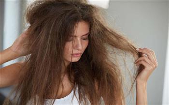 لعلاج تلف الشعر الجاف  اليكي 5 واصفات طبيعية