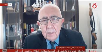   باحث سياسي: مصر تمتلك الكثير من أوراق الضغط لحل الأزمة في غزة.. فيديو