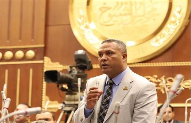 النائب محمد حمزة: دعم وتأييد الرئيس السيسي في وجه المخططات الإسرائيلية "واجب وطني"