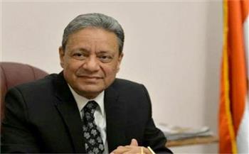   "الأعلى للإعلام" يعلن تفويض الرئيس السيسي لحماية الأمن القومي المصري