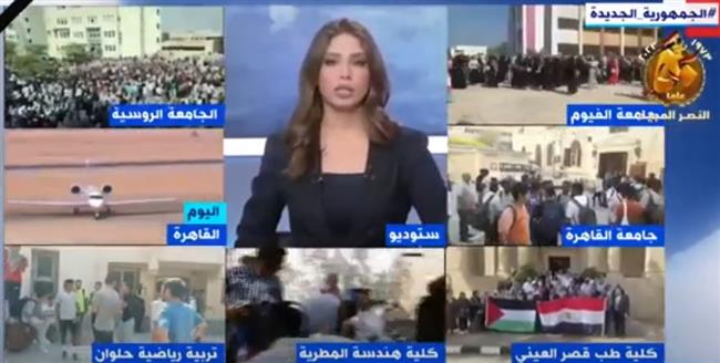 أستاذ علاقات دولية: مصر بذلت جهودًا كبيرة لحل القضية الفلسطينية.. وقمة السبت "ضربة معلم