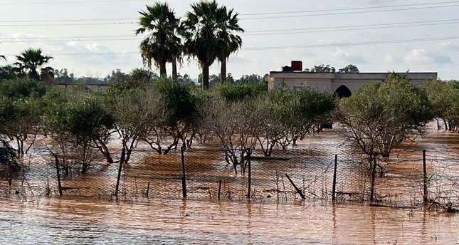 أمطار غزيرة على "أوباري" الليبية تسفر عن مصابين وانهيار 4 منازل