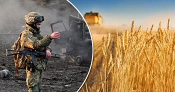   أوكرانيا تعلن حصاد 57.6 مليون طن من الحبوب والبذور الزيتية