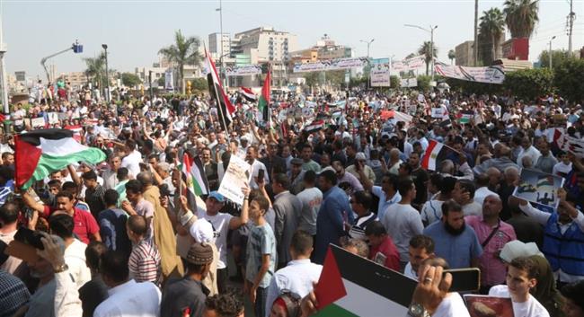 بالصور.. أهالي كفر الشيخ يزلزلون الميادين تضامنا مع القضية الفلسطينية