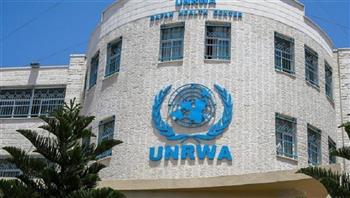   الأمم المتحدة تعلن مقتل 17 من موظفيها منذ بداية الحرب على غزة