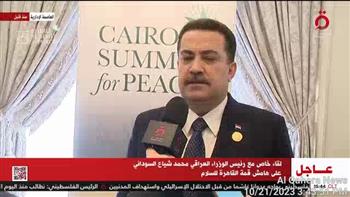   رئيس وزراء العراق: ما يحدث في فلسطين إبادة جماعية.. ونرفض دفع الفلسطينيين خارج غزة