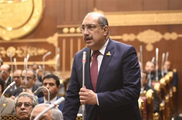 إيهاب وهبة: خطاب مصر بمجلس الأمن يؤكد قوتها وقدرتها على حفظ السلام بالمنطقة
