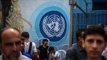   "أونروا": ملاجئنا في غزة تحوي 4 أضعاف طاقتها الاستيعابية