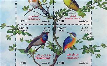   البريد يصدر "الطيور المهاجرة" في بطاقة تذكارية