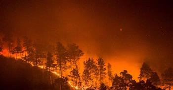   "يونيفيل": حرائق الغابات في جنوب لبنان بسبب اشتباكات الحدود