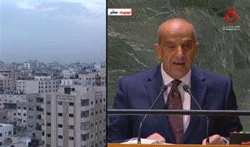   ممثل مصر بالأمم المتحدة: طفح الكيل على ما يجري لأهل فلسطين.. فيديو