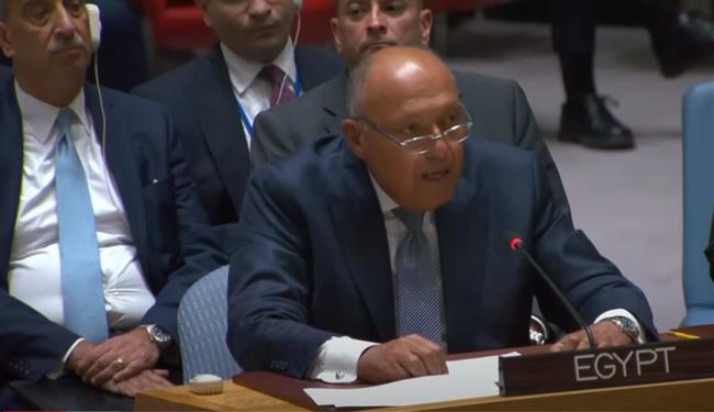 مصر تؤكد للعالم.. نرفض التهجير القسري من غزة