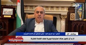   سفير فلسطين بالاتحاد الأوروبي: الدول الكبرى تلجأ لمصر عندما تتورط.. فيديو