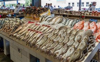   الحكومة تكشف حقيقة الأسماك النافقة بالأسواق  