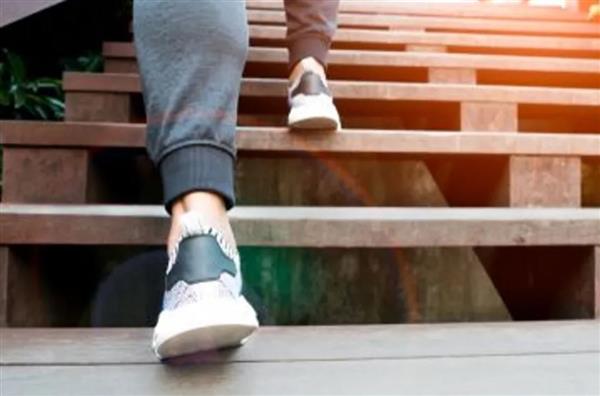 دراسة تكشف: العلاقة بين صعود السلالم وتقليل الإصابة بأمراض القلب