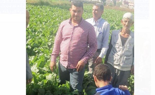 زراعة 27160 فدانًا من محصول بنجر السكر في البحيرة