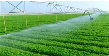    "فاو" تشيد بالمبادرات المصرية بالتركيز على حسن استخدام المياه في الزراعة