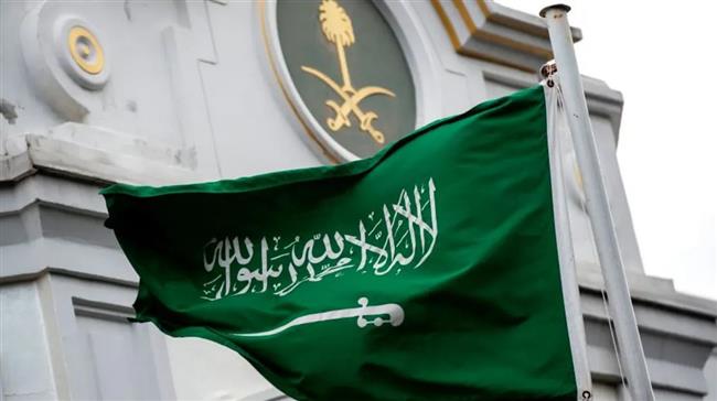 صحيفتان سعوديتان: المملكة تسعى لبذل الجهود لوقف الحرب الإسرائيلية على غزة