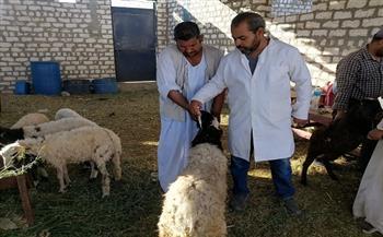 بيطري الوادي الجديد يكثف حملات المرور على الأسواق