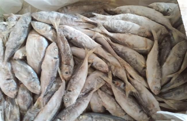 ضبط 48 طن أسماك وكبدة غير صالحهة للاستهلاك الآدمي بكفر الدوار