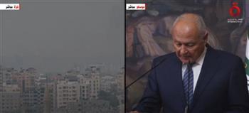 أبو الغيط: غياب "حل الدولتين" السبب الرئيسي لتدهور الأوضاع بالشرق الأوسط