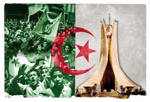 بالأعلام الفلسطينية.. الجزائر تحي الذكرى الـ 69 لاندلاع ثورتها التحريرية
