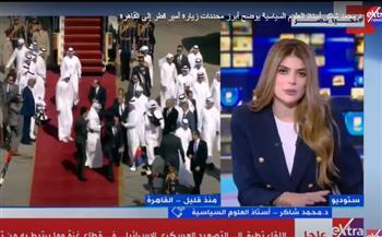 أستاذ علوم سياسية يكشف أبرز محددات زيارة أمير قطر للقاهرة