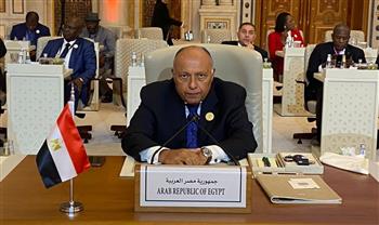   نص كلمة مصر خلال أعمال القمة السعودية الأفريقية