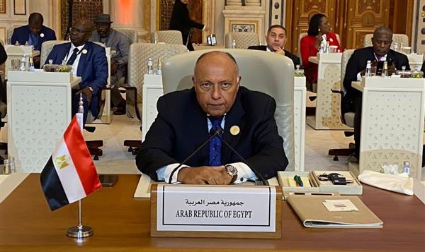 نص كلمة مصر خلال أعمال القمة السعودية الأفريقية