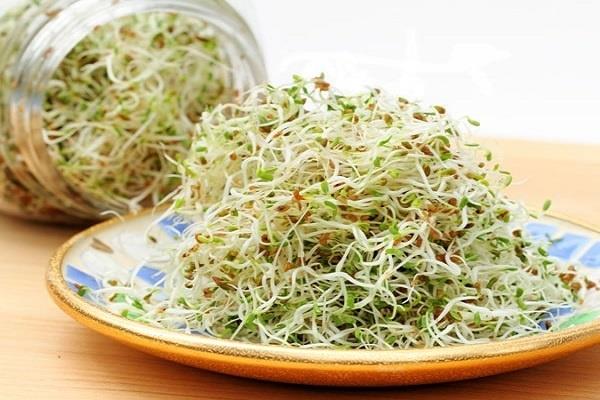 دراسة: "براعم البروكلي" علاج محتمل لمرض التهاب الأمعاء
