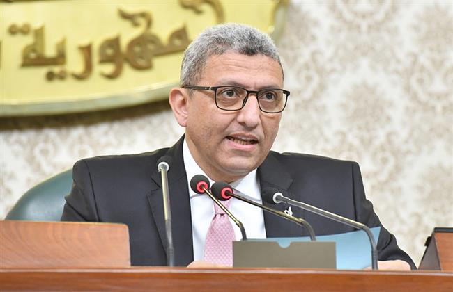 "عبدالفضيل": كلمة السيسي في قمة الرياض تاريخية وتحمل المجتمع الدولية مسئولياته من انتهاكات إسرائيل