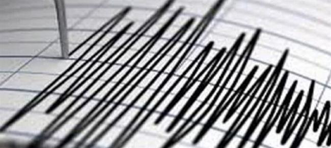 هزة أرضية بقوة 2.6 درجة تضرب العاصمة الهندية 
