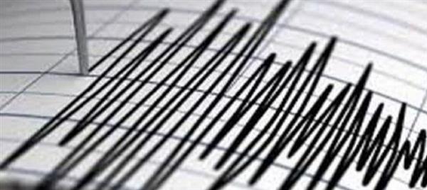 هزة أرضية بقوة 2.6 درجة تضرب العاصمة الهندية
