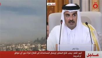   أمير قطر : إلى متى سيعامل المجتمع الدولي إسرائيل وكأنها فوق القانون الدولي؟