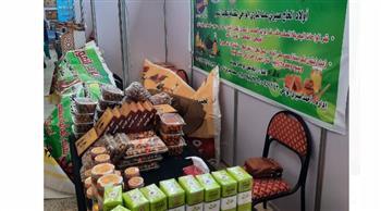 اليوم.. افتتاح مهرجان الجيزة للتمور