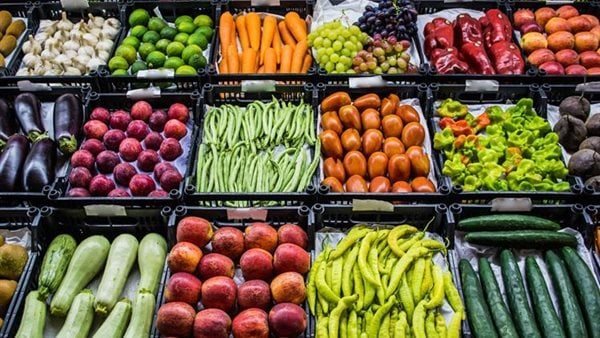 أسعار الخضروات اليوم الثلاثاء 14-11-2023