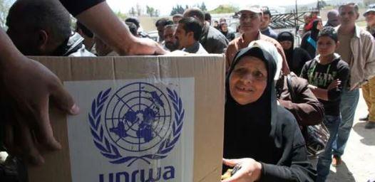 أونروا: عدد من نؤويهم في ملاجئنا بغزة اليوم يعادل ثلاثة أضعاف ما كان عليه قبل 20 عاما