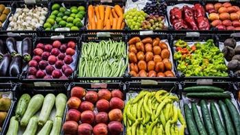   أسعار الخضروات اليوم الثلاثاء 14-11-2023