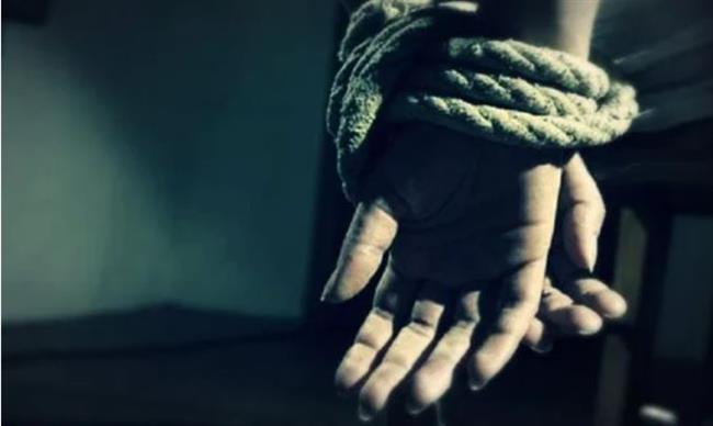 تأجيل محاكمة متهمين بخطف صاحب مزرعة لـ 6 يناير