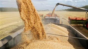   روسيا ترسل أولى شحناتها المجانية من الحبوب إلى إفريقيا