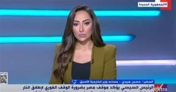 حسين هريدى: مظاهرات الشعوب فى العالم ساهمت فى تغيير وجهات نظر الدول الأوروبية