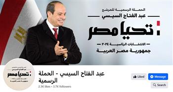   "الجمهورية": حملة المرشح الرئاسي السيسي قدمت نموذجا بأن مصر في مقدمة الداعمين لفلسطين