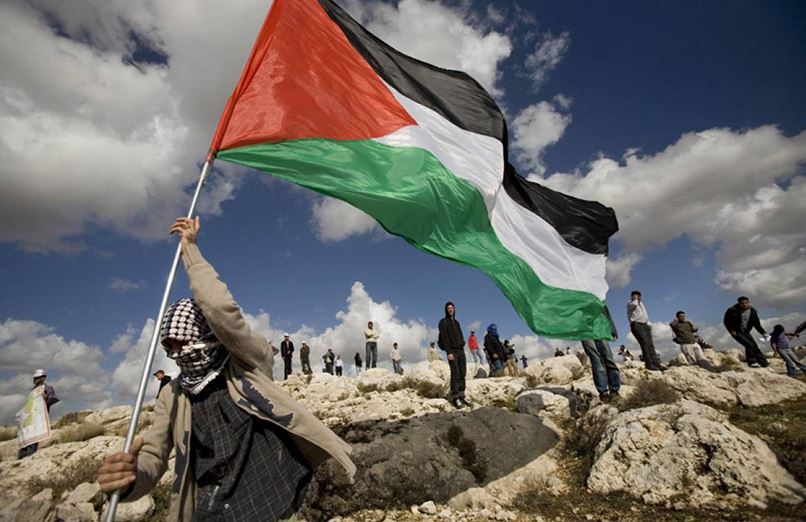 "حياة كريمة": القضية الفلسطينية في مقدمة أولوياتنا.. فيديو